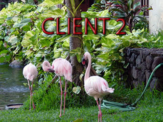 client 2